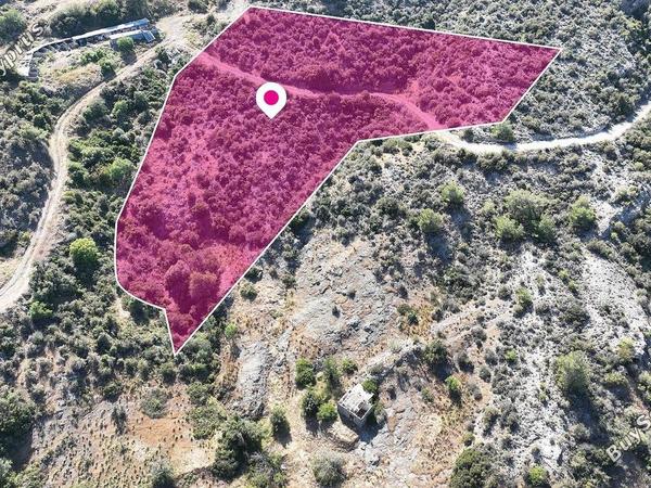 land for sale pyrgos nicosia nicosia 1070185 image 13341285