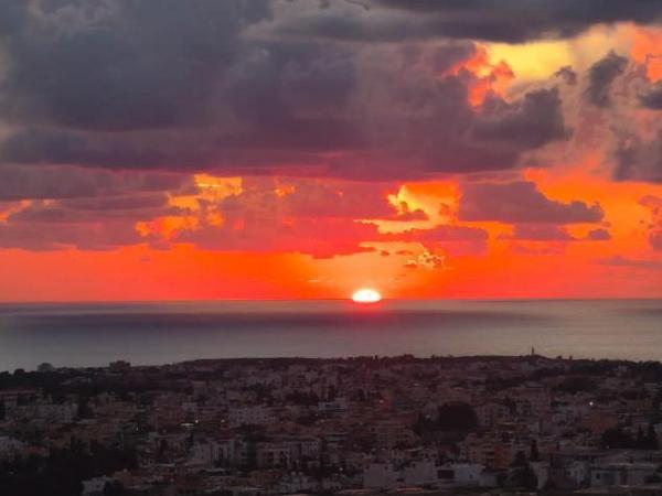 3 bedroom detached house for rent geroskipou paphos 8808285 image 16812622