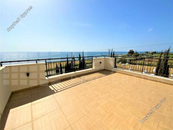 4 bedroom detached house for sale agios theodoros larnacas larnaca 7871285 image 15781937