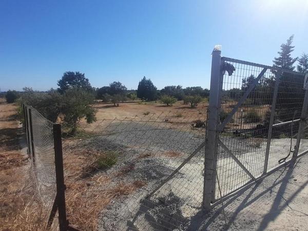 land for sale tochni larnaca 1245285 image 16192787