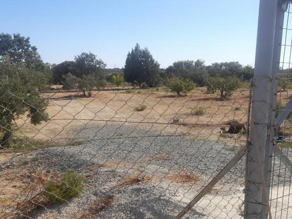 land for sale tochni larnaca 1245285 image 16192788