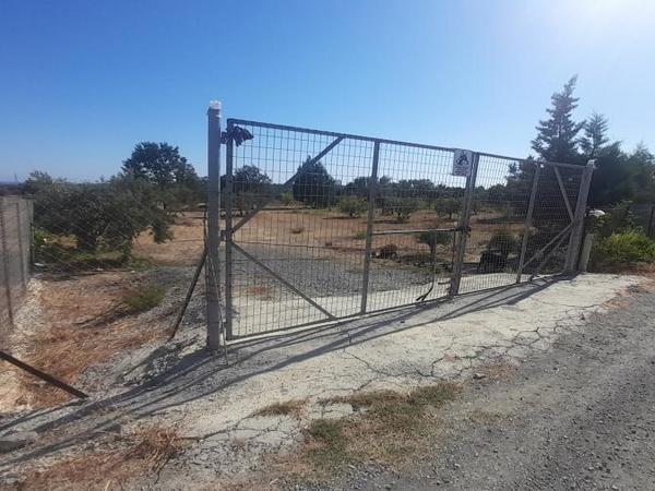 land for sale tochni larnaca 1245285 image 16192789