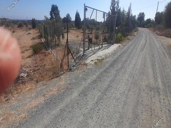 land for sale tochni larnaca 1245285 image 16192790