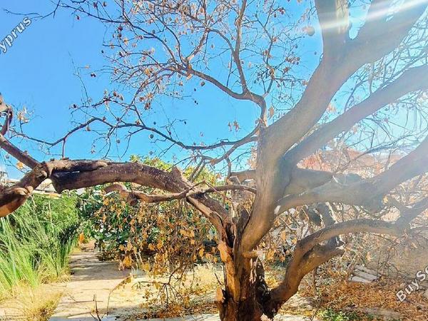 2 bedroom detached house for sale oroklini larnaca 7915385 image 15021658