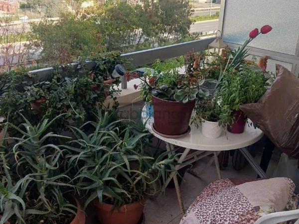 3 bedroom apartment for sale aradippou larnaca 8738385 image 16361528