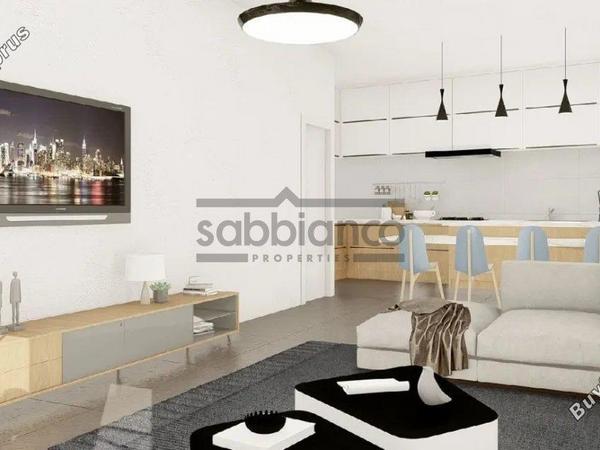 3 bedroom detached house for sale dromolaxia larnaca 8746385 image 16441663