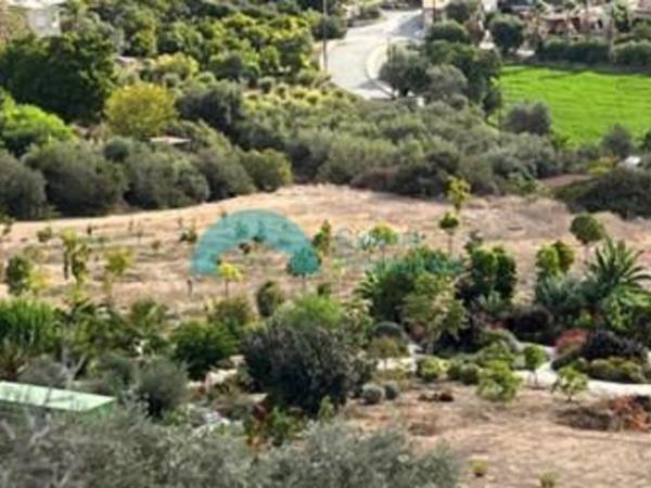 land for sale nikokleia paphos 8022385 image 16016009