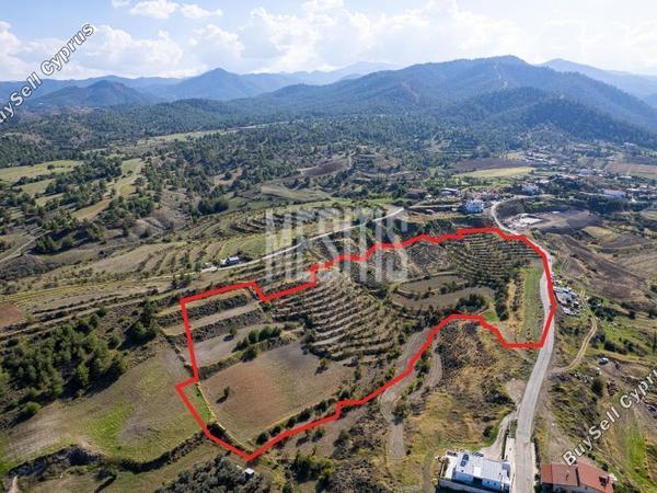 plot for sale nikitari nicosia 976385 image 10488732