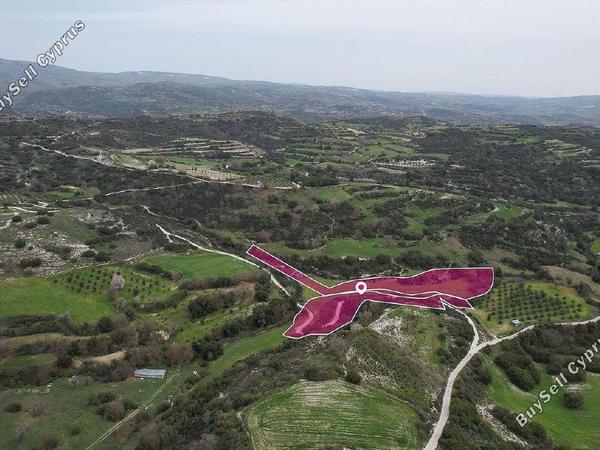 land for sale psathi paphos 1897485 image 14205875