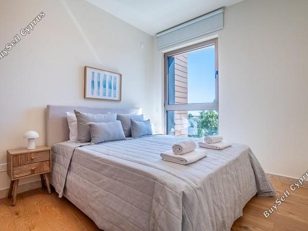 3 bedroom semi detached house for rent emba paphos 8791585 image 16679755