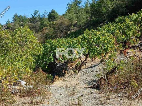 land for sale agridia limassol 7816585 image 10654692
