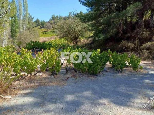land for sale agridia limassol 7816585 image 10654694