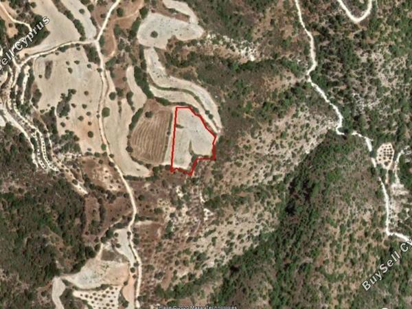 land for sale amargeti paphos 828585 image 15179189