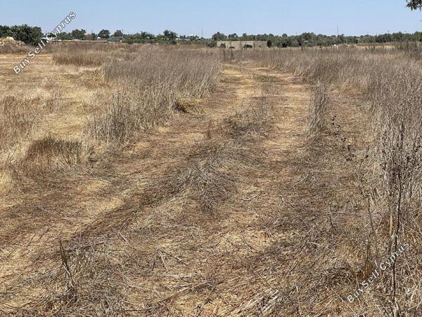 land for sale liopetri famagusta 8698585 image 16206019