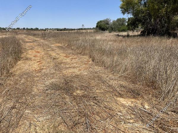 land for sale liopetri famagusta 8698585 image 16206020