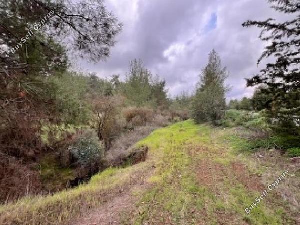 land for sale mitsero nicosia 1792585 image 15597938
