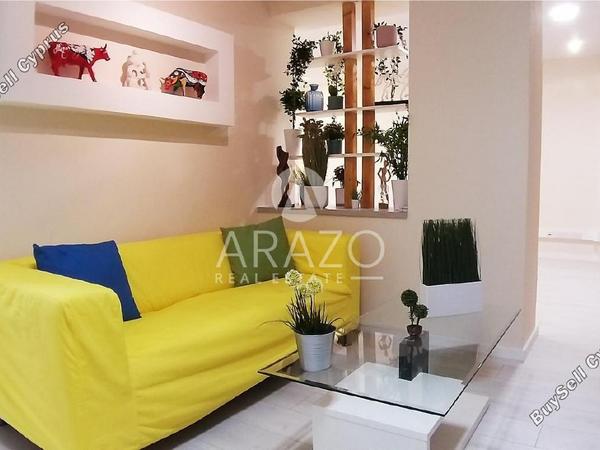 studio office for rent agios nektarios limassol 7833585 image 14631097