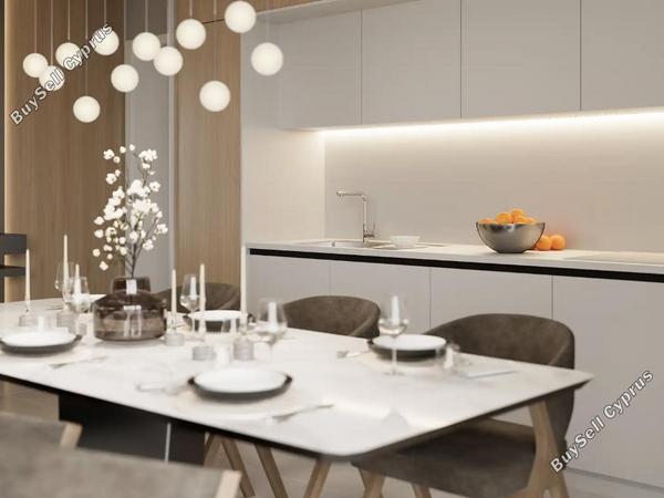 2 bedroom apartment for sale mesogi paphos 8720685 image 16322129