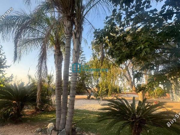 4 bedroom detached house for sale ormideia larnaca 7894785 image 13817922