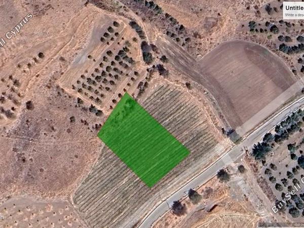 land for sale amargeti paphos 1792785 image 5931444