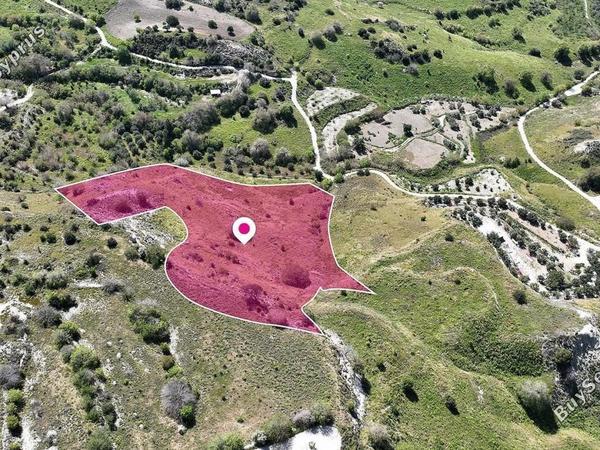 land for sale mesa chorio paphos 8629785 image 15869901