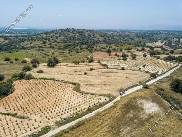 land for sale pachna limassol 8797785 image 16704424
