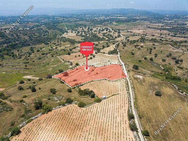 land for sale pachna limassol 8797785 image 16704439