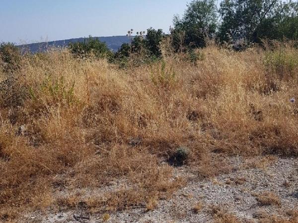 plot sold agios therapon limassol 615785 image 636538