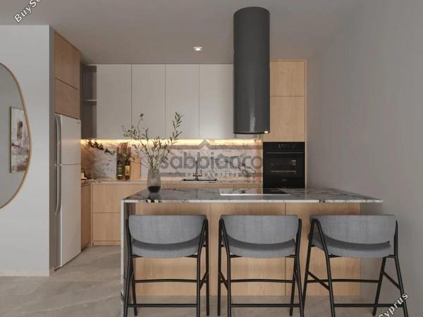 2 bedroom apartment for sale aradippou larnaca 8738885 image 16365485