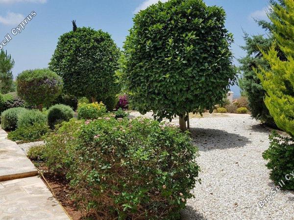 5 bedroom detached house for sale tala paphos 1684885 image 4406842