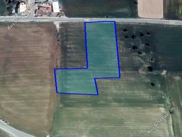 land for sale alaminos larnaca 1546885 image 5880454