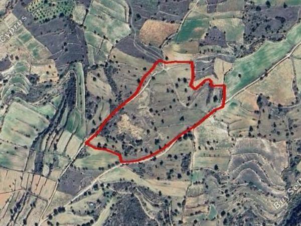 plot for sale pachna limassol 1680885 image 10242860