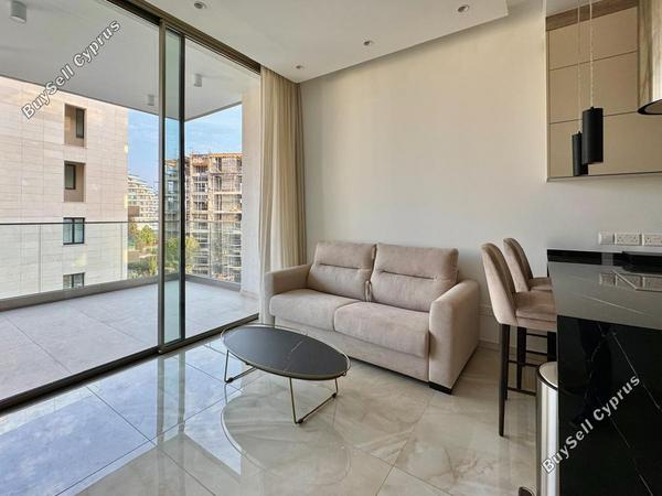 1 bedroom apartment for rent potamos germasogeias limassol 8670985 image 16455058