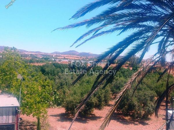 3 bedroom detached house for sale maroni larnaca 1148985 image 5742343