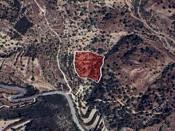 land for sale choulou paphos 1594985 image 15598066