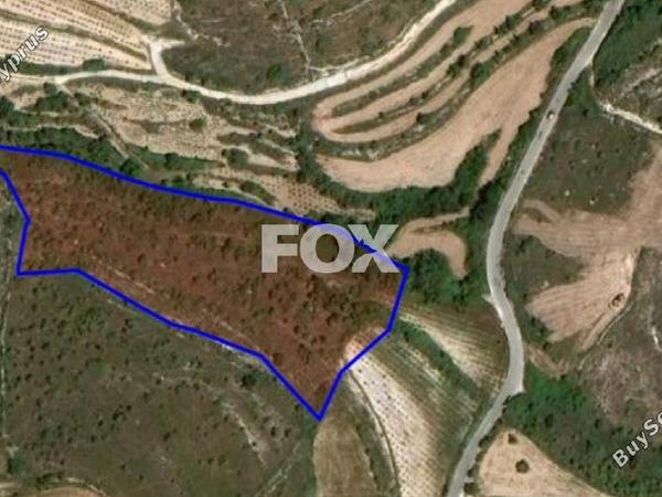 land for sale kathikas paphos 1160985 image 14827554