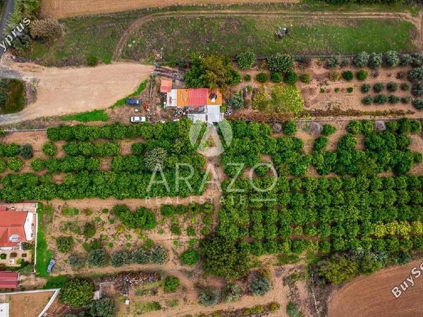 land for sale kolossi limassol 7978985 image 14027061