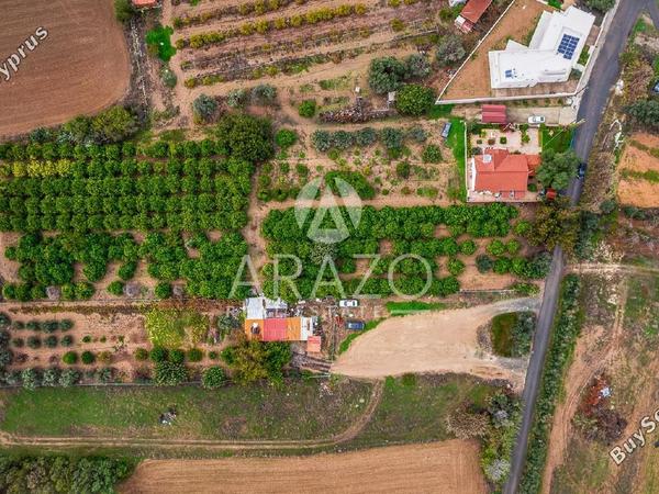land for sale kolossi limassol 7978985 image 14027065