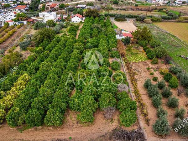 land for sale kolossi limassol 7978985 image 14027069