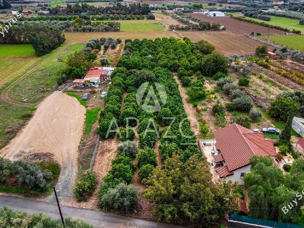 land for sale kolossi limassol 7978985 image 14027071