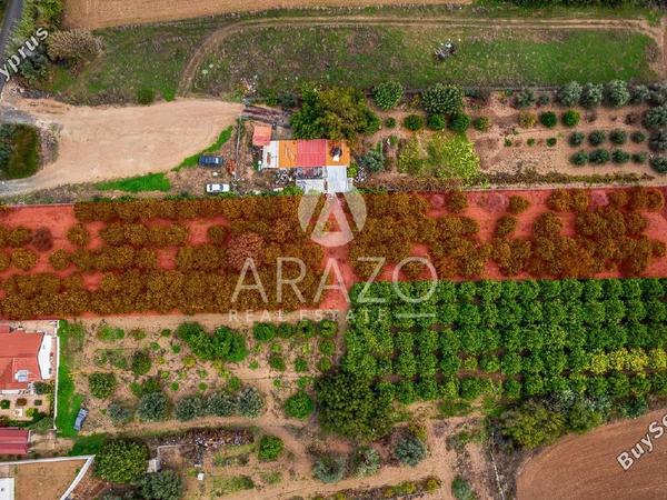 land for sale kolossi limassol 7978985 image 14027079