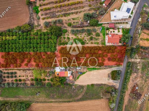 land for sale kolossi limassol 7978985 image 14027082