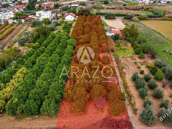 land for sale kolossi limassol 7978985 image 14027085