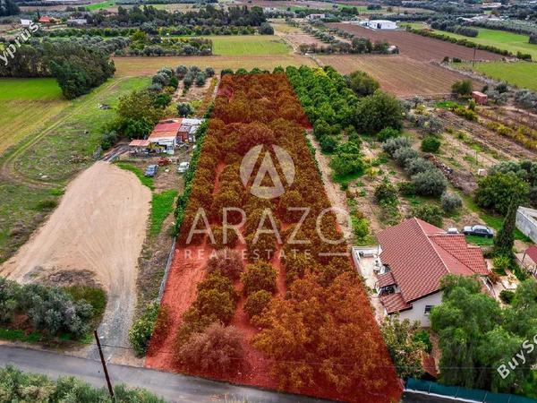 land for sale kolossi limassol 7978985 image 14027089