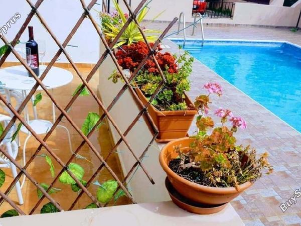 2 bedroom apartment for sale kato paphos universal paphos 8287095 image 14037177