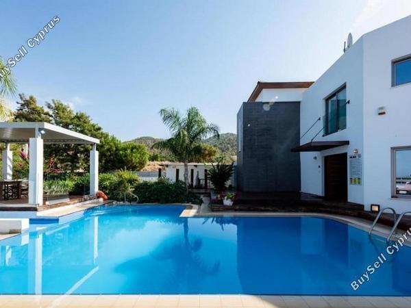 3 bedroom detached house for sale argaka paphos 7739095 image 10210773