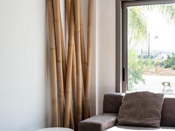 3 bedroom detached house for sale argaka paphos 7739095 image 10210791