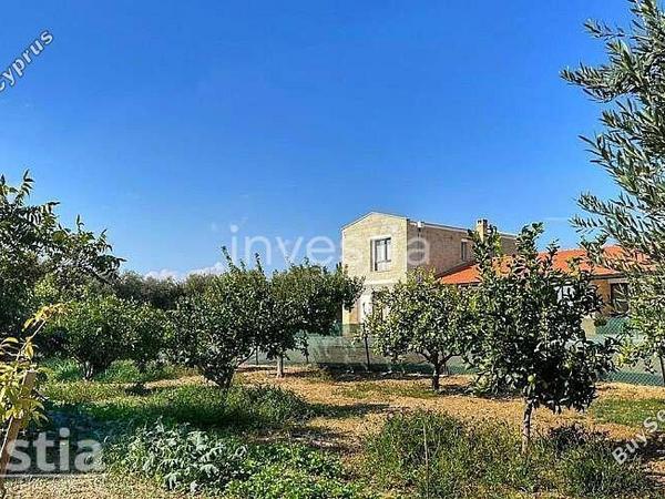 3 bedroom detached house for sale maroni larnaca 8772095 image 16593888