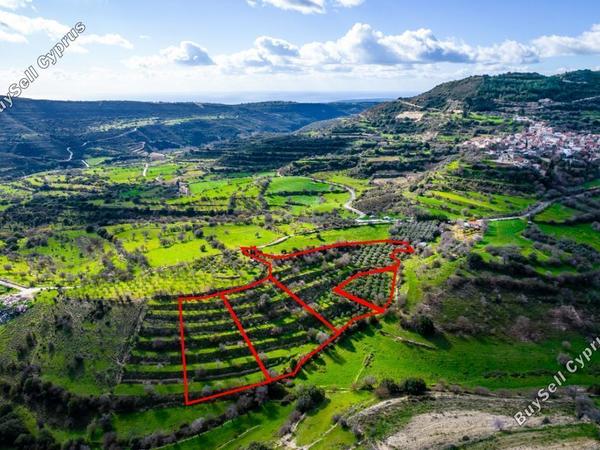 land for sale dora limassol 853095 image 13353577
