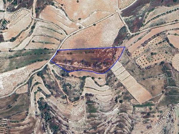 land for sale pachna limassol 7784095 image 10408790